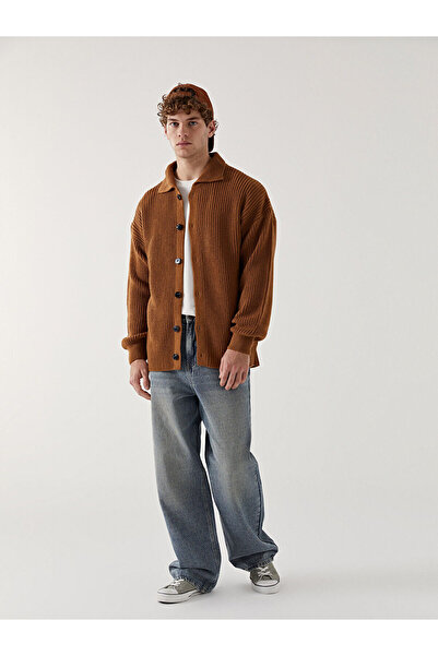 LC Waikiki Brown Standard Fit Polo Collar Men's Knitwear Cardigan