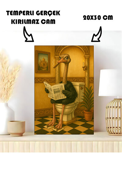 Harika bir ev STOL U KUPATILU STAKLENI STOL NOJŽAR KOJI ČISTI WC ZA KUPATILU ...