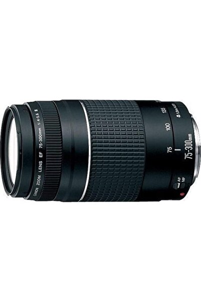 Canon EF 75-300mm, F/4.0-5.6 III lens