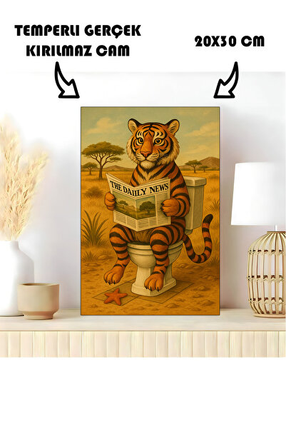 Harikabirev ΤΟΥΑΛΕΤΑ ΜΠΑΝΙΟΥ| Βιοντομικός Κοινούς Μεσολάβητες Αρχές