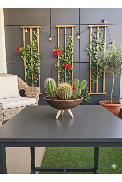Alba Home Decor Ahşap Ayaklı Dekoratif sukulent kaktüs arajman saksı