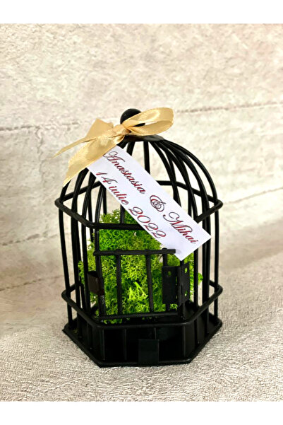 Studio Design Marturii nunta suport card Colivie-10 buc/set