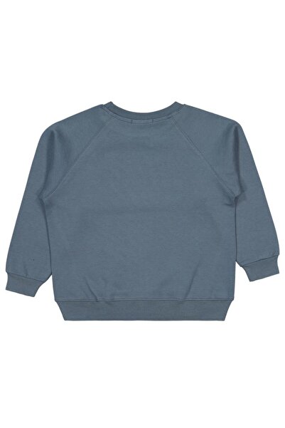 Pierre Cardin Coat of Arms 10-12 Years Old Sweatshirt - Gray 10-11 Years Old