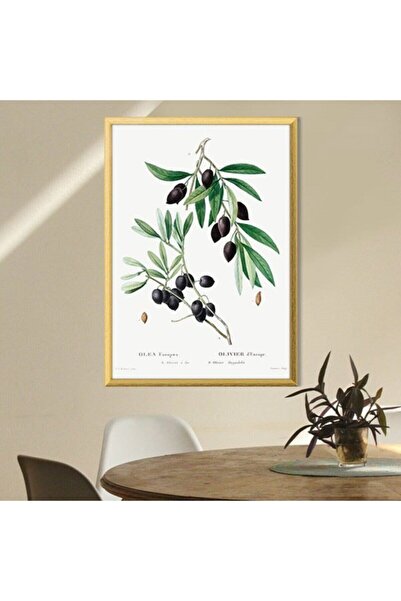 Araste Dekorasyon Zeytin Dalı 2 Çerçeve Ve Poster - Mt1075