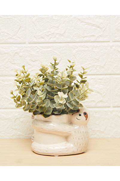 REDTAG أصيص زراعة شجرة الكينا الخضراء في وعاء كريمي