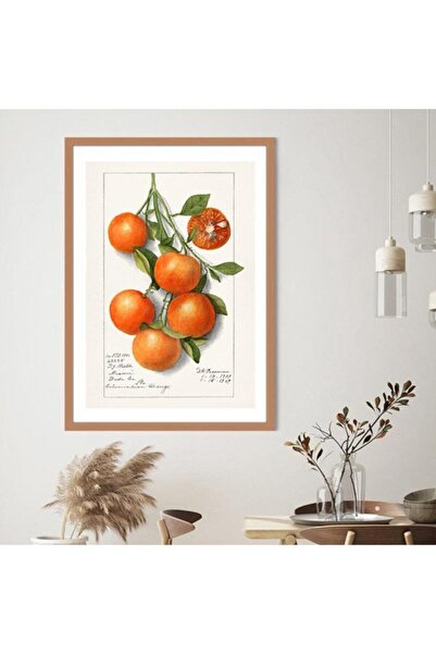 Araste Dekorasyon Mandalina 3 Çerçeve Ve Poster - Mt1102