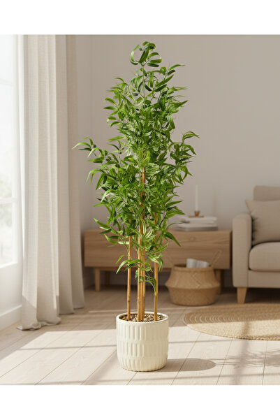 REDTAG خيزران صناعي في وعاء سيراميكي