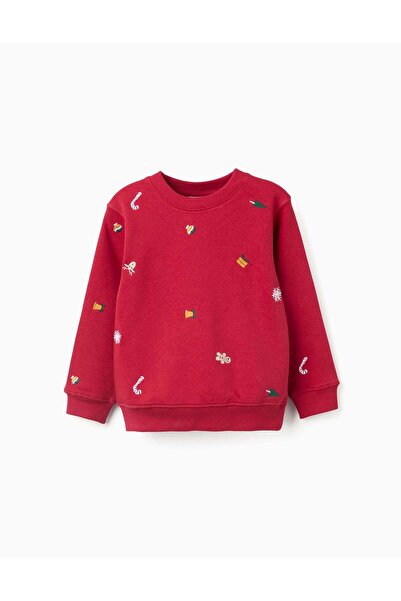 Ziddy Brushed sweatshirt with Christmas embroidery for boys, red