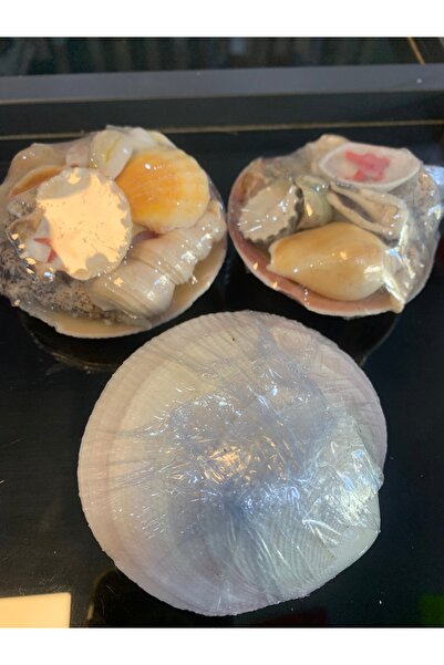 Antikapetshop Küçük Deniz Kabuğu Seti - Akvaryum, süs ve dekor için kullanıla...