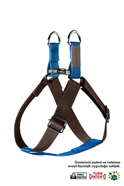 pasiole Dog Collar, Dog Harness, Adjustable, Sturdy Dog Harness