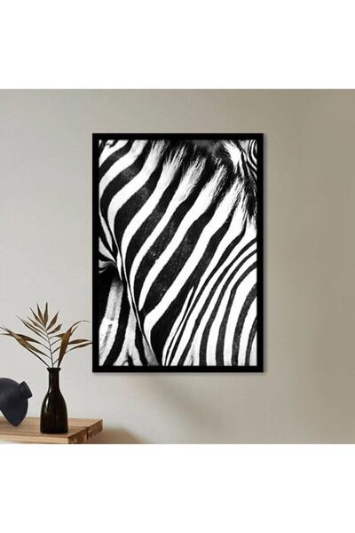 Araste Dekorasyon Zebra Dokusu 3 Çerçeve Ve Poster - H1049