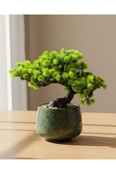 REDTAG بونساي أخضر مع أصيص