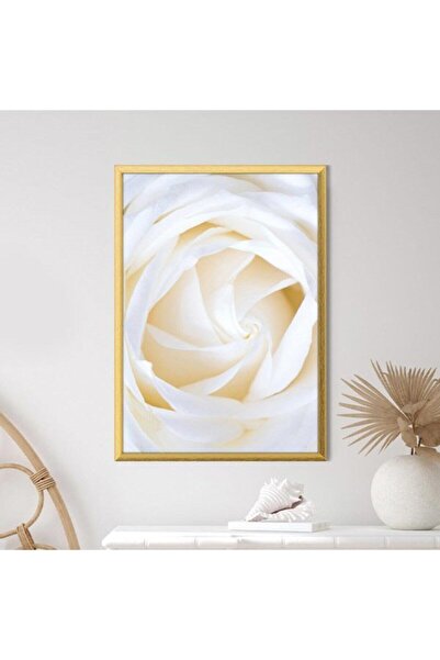 Araste Dekorasyon White Roses 2 Frame and Poster - B1222