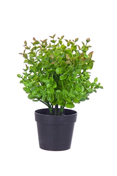 Bizzotto Buxus τεχνητό στο ghiveci 25h