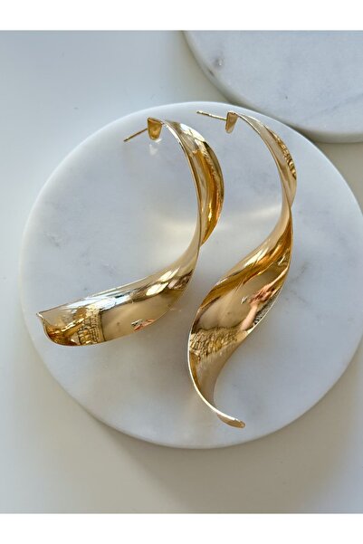 CHARMLUCKY Steel Long Curved Earrings