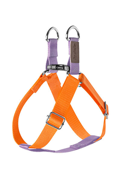 pasiole طوق للكلاب، طوق للكلاب الأليفة، قابل للتعديل، طوق متين للكلاب - بيا