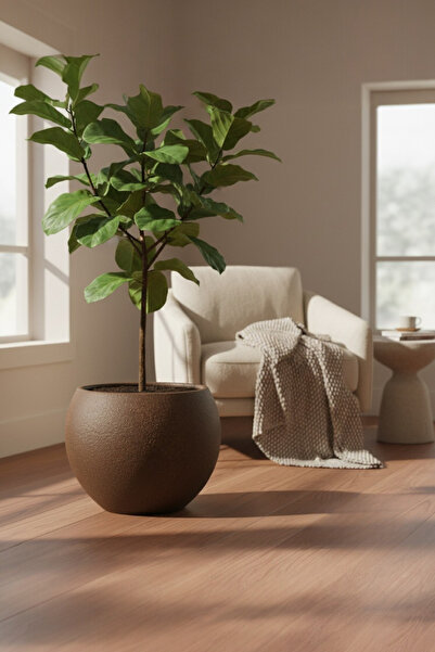 Bliss Dekoratif Modern Küre Saksı 27 Litre Beton Görünümlü Tasarım Plastik Çiçek Saksısı