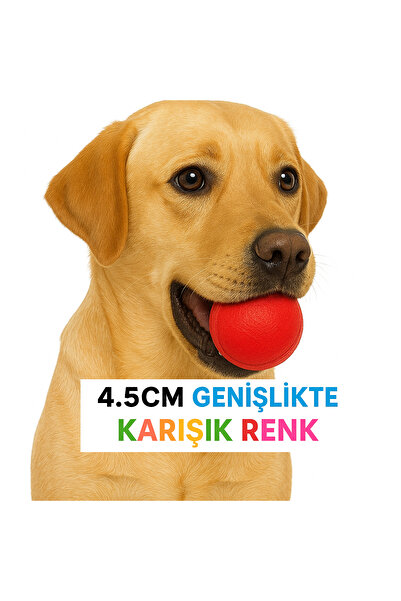 AlaPet Dog Ball Bouncing Hard Ball Dog Toy 4.5cm (Non-Deforming Ball)