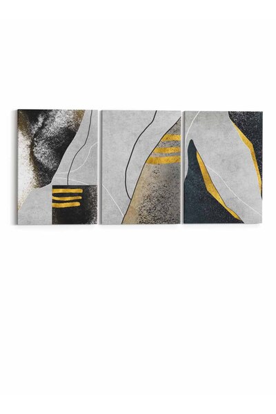 LOWHA Set of 3 Canvas Wall Art Stretched Over Wooden Frame with Abstract Design