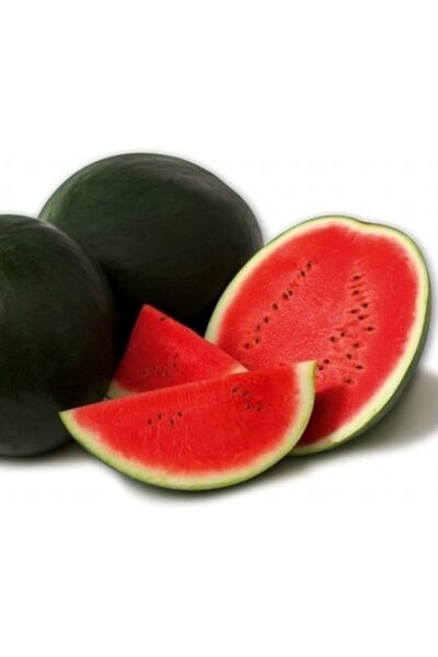 Genel Markalar TARIM DOĞAL KARA KARPUZ WASHINGTON 50 ADET TOHUM