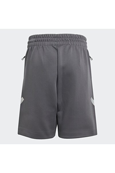 adidas Mercedes - AMG Petronas Formula One Team Silver Arrows Çocuk Şortu