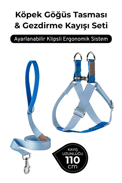 pasiole طقم طوق للكلاب قابل للتعديل وحزام للمشي |   صناعة يدوية، متينة، سهلة ...