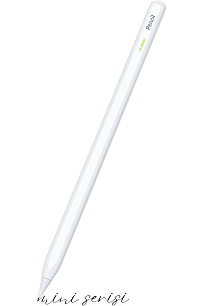 Genel Markalar Ipad Mini 2024 7. Nesil 8.3 Uyumlu Manyetik Şarj Olabilen Blue...