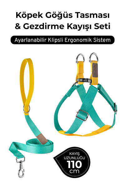 pasiole Adjustable Dog Harness and Walking Leash Set |   Handmade, Durable, C...