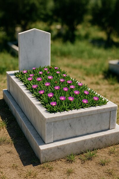 Tunç Botanik MEZAR - KABİR ÇİÇEKLİ BİTKİ SETİ - 90 ADET KAZ AYAĞI + 20 KG DOLOMİT TAŞI