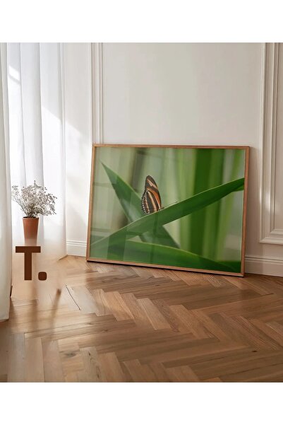 VOGLOO Butterfly Spring Poster