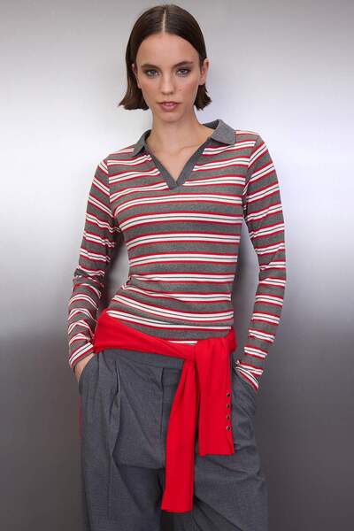 Trendyol Collection Anthracite Striped Polo Neck Fitted/Bodycon Knitted Blouse Twoaw26Bz00034