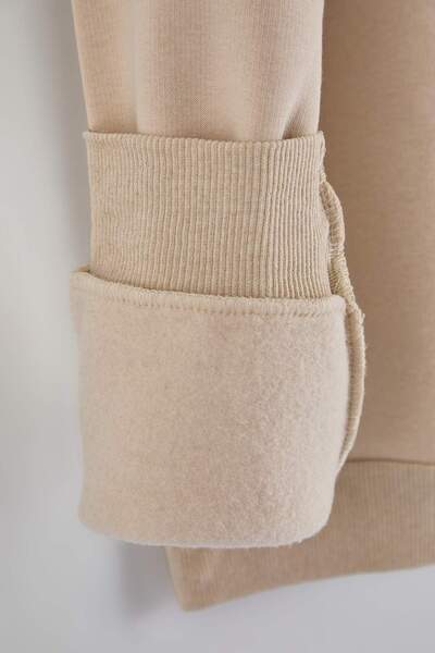 Trendyol Curve Stone Teddy Bear Embroidered Zippered Collar Oversized Sweatshirt Tbbaw26Ao00041