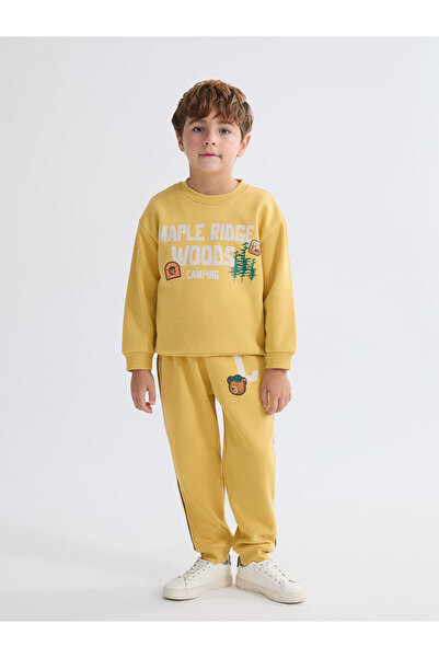 LC Waikiki Ανδρικό παχύ φούτερ Peak New Season με τύπωμα