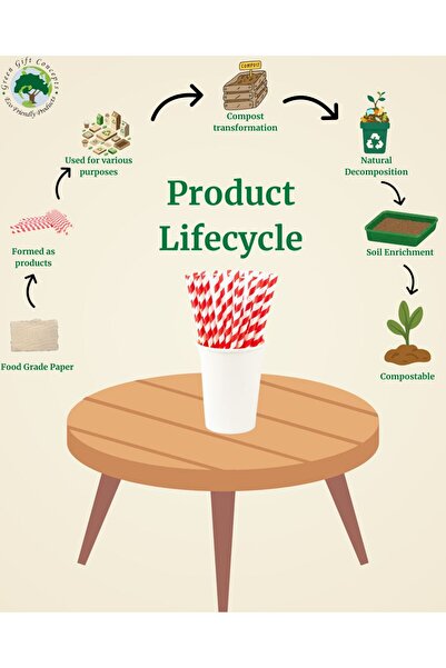 Green Gift Concepts - 100 PC of Food Grade Biodegradable Red & White Paper Straws