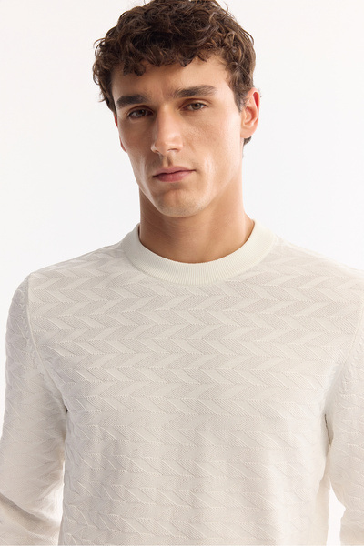 Avva Men's Ecru Crew Neck Textured Knitwear Regular Fit Sweater A52Y5086