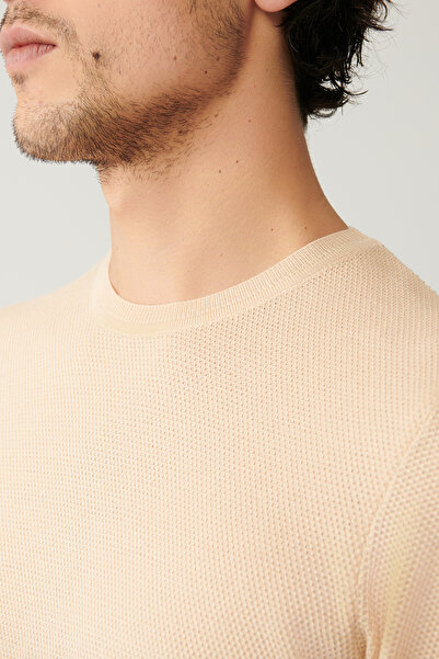 Avva Men's Beige Crew Neck Textured Knit T-Shirt E005027