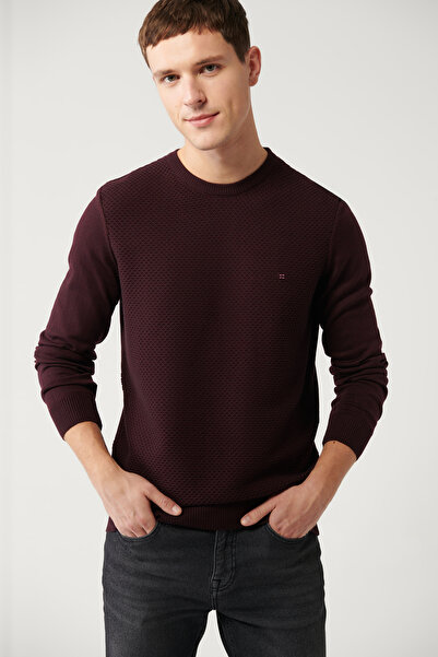 Avva Pulover pentru bărbați, roșu Claret, cu decolteu, din bumbac, tricotaj E 005105