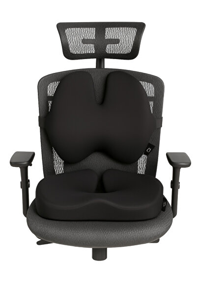 PİLLOWART وسادة ظهر ومقعد طبية لمقعد السيارة - قيادة مريحة