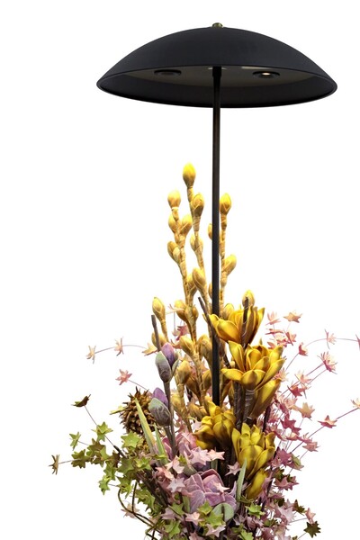 pulchino Siyah Boyalı Modern Lambader Plc-1210-l-bsy