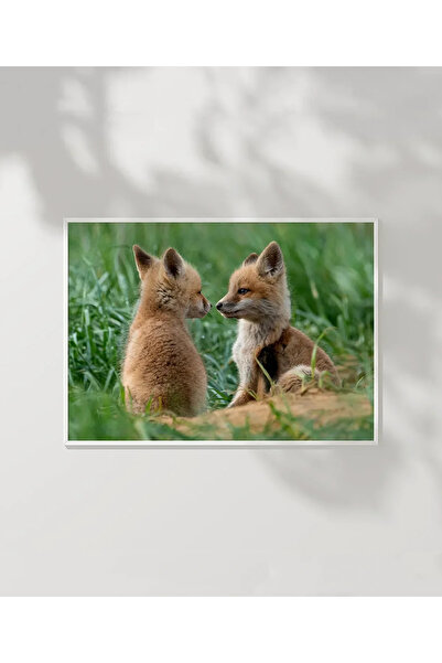 VOGLOO Fox Friendship Poster