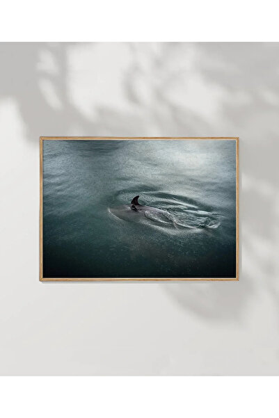 VOGLOO Poster in the Water