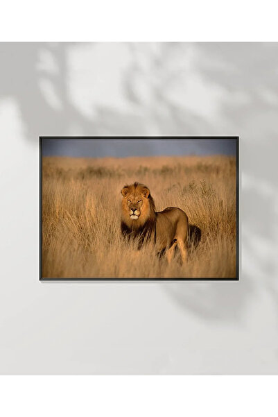VOGLOO Forest Lion Poster