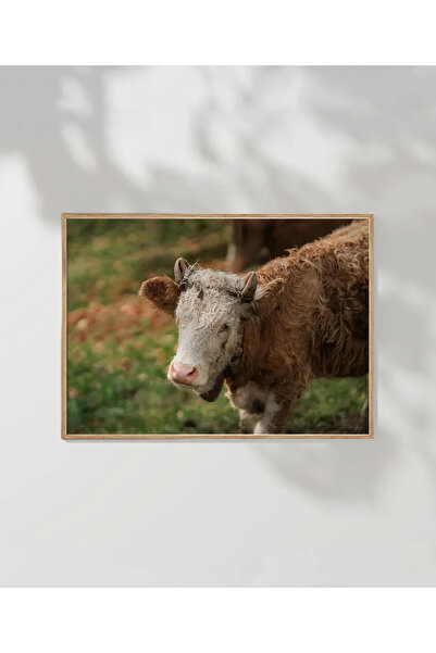 VOGLOO Farm Cattle Poster