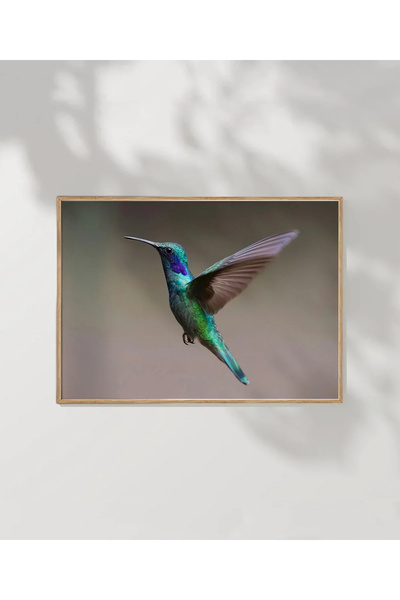 VOGLOO Bird Flight Poster