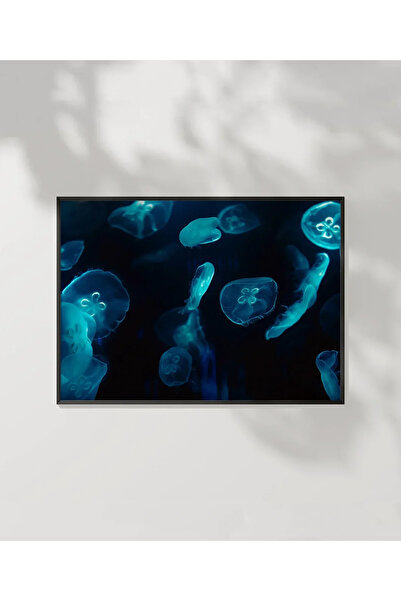 VOGLOO Sea Animals Poster