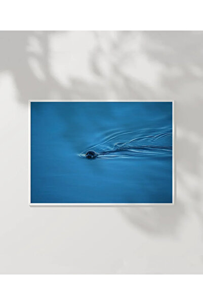 VOGLOO Blue Otter Floating in Water Poster