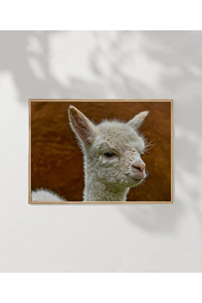 VOGLOO Cute Lama Poster