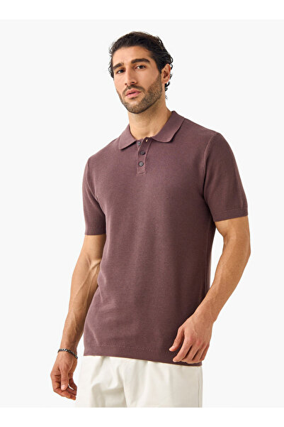 FAV بنية عظم الرنجة