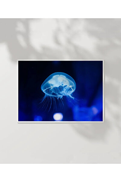 VOGLOO Medusa Floating in Light Poster
