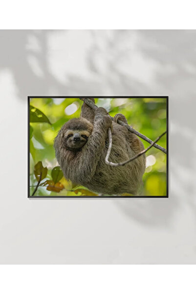 VOGLOO Lazy Animal Time Poster